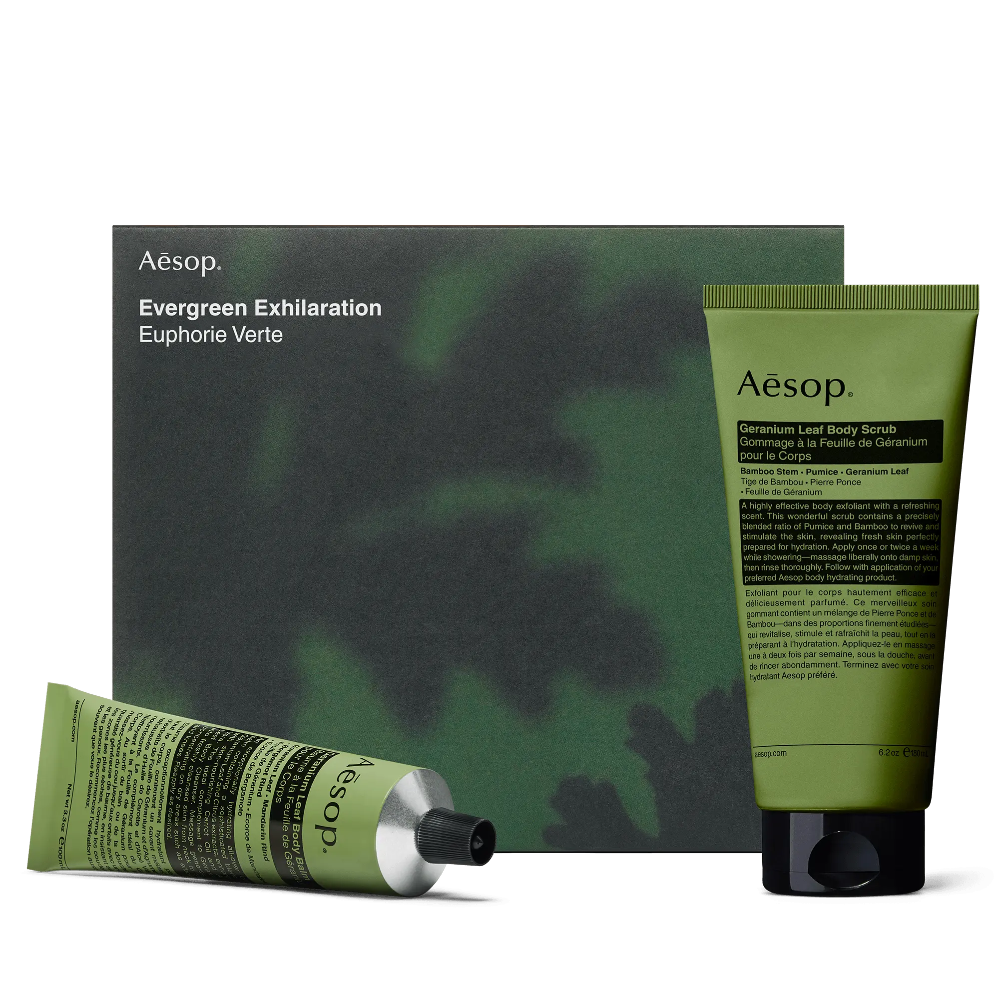 Evergreen Exhilaration