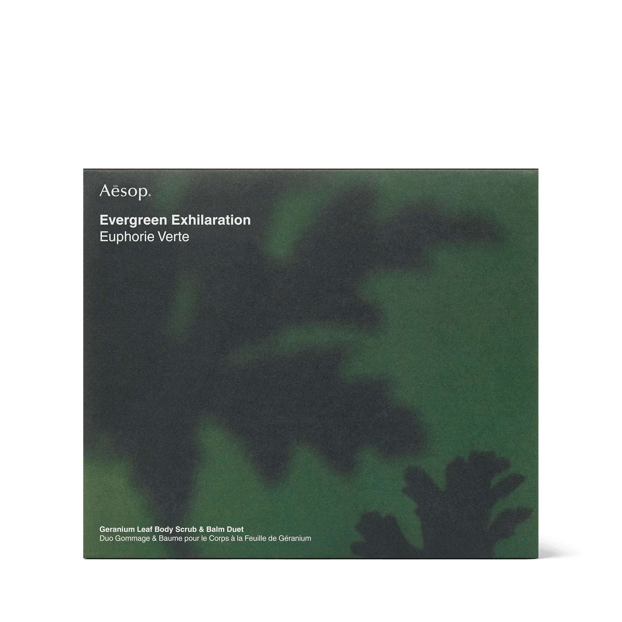 Evergreen Exhilaration